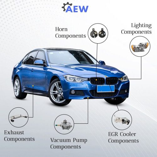 aew_protech_1711721622_3334485105994784143_62446816519